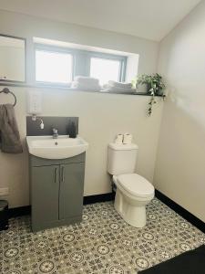 a bathroom with a toilet and a sink at The Tower Suite - Town Centre, Spacious, 2 Bed, Sleeps 4 in Larne