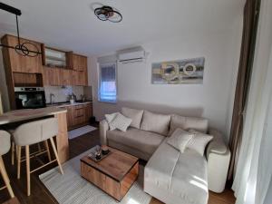 Kuchyň nebo kuchyňský kout v ubytování Apartman Miha Vrnjačka Banja