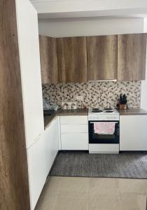 Kuchyň nebo kuchyňský kout v ubytování Vila Dior Donji Stoj