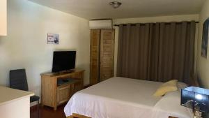 TV a/nebo společenská místnost v ubytování Hotel Don Andres