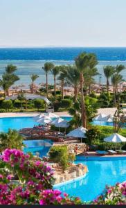 Πισίνα στο ή κοντά στο Chalet in amwaj oyoun resort & casino - families and couples only