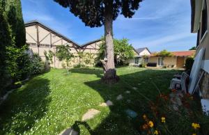 a yard with a tree and a building at Chambres meublées Sdb Wc et accès privatifs - Suite familiale in Champigny-sur-Marne