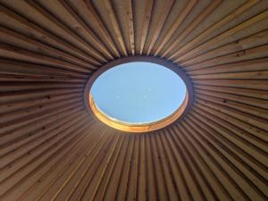 Foto dalla galleria di Entschleunigung pur - gemütliche Jurte im Grünen a Lindenberg Altre 26 foto