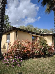 Vonkajšia záhrada v ubytovaní Casa Vacanze La Cuntintizza