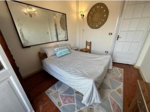 a bedroom with a bed with a mirror and a rug at Agora House for men only 仅限男性 in Alexandria