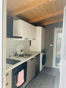 a kitchen with a sink and a washing machine at The Oaks Outdoor Living in Preveza