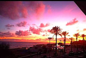a sunset over a beach with palm trees and the ocean at Tre fontane Casa di Rò in Tre Fontane