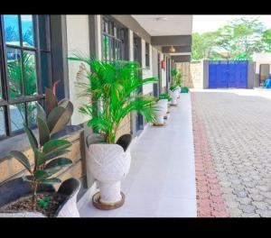 a row of potted plants on the side of a building at Staycation by Winnie-Weber Generations -2 bedrooms in Nairobi