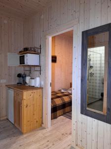 a room with a kitchen and a bed with a mirror at Brunella house at Villa Vlada in Gāršmuiža +18 photos