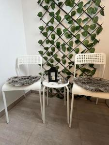 Foto sihtkohas Vršac asuva majutusasutuse Apartmani Bajic galeriist