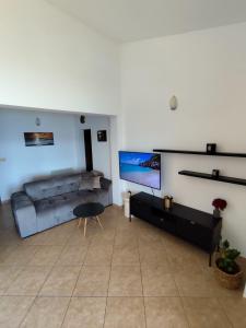 Televízia a/alebo spoločenská miestnosť v ubytovaní Apartment Vesela 2