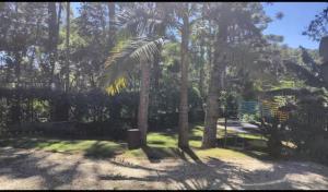 Κήπος έξω από το Casa do Pico