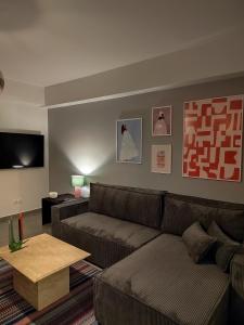 Χώρος καθιστικού στο The elegant urban apartment
