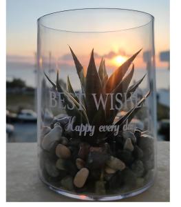 a glass jar filled with rocks and a plant at Naxos Crafts' House in Naxos Chora