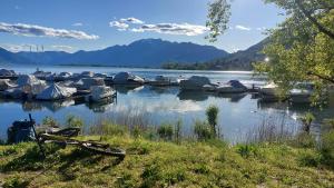 a group of boats are docked on a lake at Casa celeste, stanza in appartamento condiviso in Minusio +12 photos