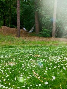 Zahrada ubytování Forrest style Pokoje gościnne