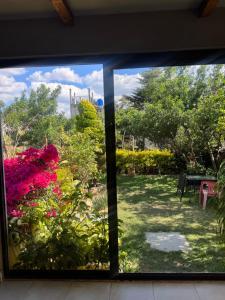 O grădină în afara Amplia Casa en el Corazón de Sancris