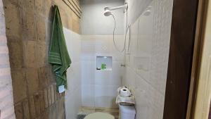 baño con aseo y toalla verde en Ña Lucy, en Fernando de la Mora 25 fotos más