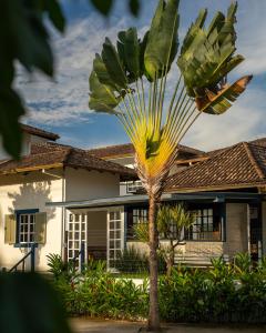 Zahrada ubytování Casa Poema Paraty