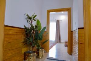 Fotografie z fotogalerie ubytování C17 Guest House v destinaci Islámábád