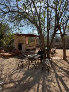 a picnic table and two chairs under a tree at Casa Ake in Aké