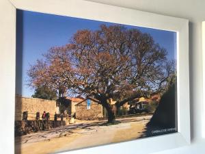 a framed picture of a tree on a street at Carballo de Cereixo - Solo con seña in Federación