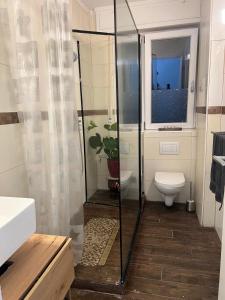 a bathroom with a shower and a toilet and a window at Ferienwohnung am Krugplatz in Detmold