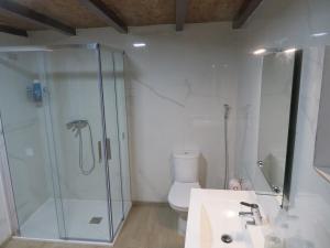 a bathroom with a shower and a sink and a toilet at Casa do Cortinhal in Covilhã
