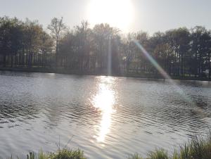 a lake with the sun shining on the water at Villa évasion in Ambillou