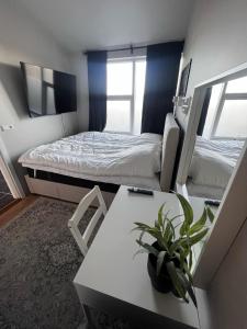 una camera con letto e tavolo con una pianta in vaso di East Guesthouse a Egilsstadir