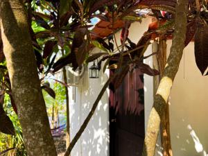 Fotografie z fotogalerie ubytování B&B Del Lago v destinaci Flores