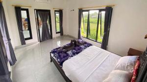 Rúm í herbergi á Darren Hostel