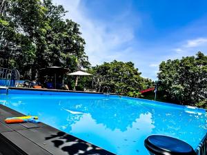 una piscina con uno squalo in acqua di ZHANG RESORT and DIVE CENTER a Daanbantayan