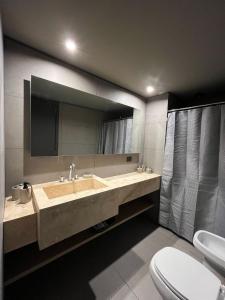 a bathroom with a sink and a toilet and a mirror at Edificio Pantera - monoambiente de diseño in San Martín de los Andes +24 photos