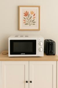 a microwave sitting on top of a counter with a picture at Fribourg Studio Home in Fribourg