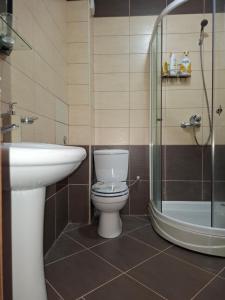 a bathroom with a toilet and a sink and a shower at Apartment Bigovo in Tivat +13 photos