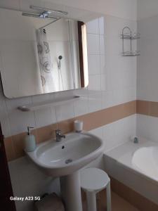 une salle de bains avec lavabo, miroir et baignoire dans l'établissement Villa Elster Country House, à Collecorvino 25 autres photos