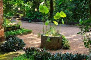 Giardino di Swasthi Serviced Villa