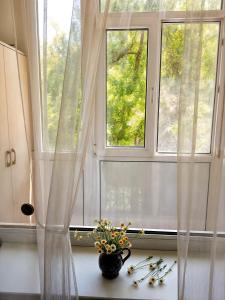 Сад в Apartment Home comfort in Nikolaev +12 фотографий