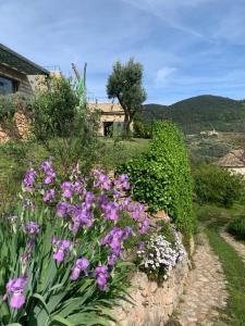 - un bouquet de fleurs violettes dans un jardin dans l'établissement Càmamila sea view bedroom, à Finale Ligure