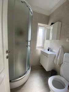 a bathroom with a shower and a toilet and a sink at Sweet holiday house in Veli Iž +8 photos