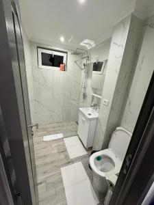 Koupelna v ubytování ASE Premium Apartament 2