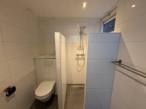 a white bathroom with a toilet and a shower at Modern bungalow with cinema in Ermelo +8 photos