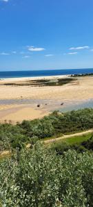 ein leerer Strand mit dem Ozean im Hintergrund in der Unterkunft Sesmarias in Vila Real de Santo António