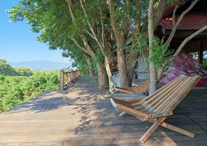 Napahong forest camp外面的花园