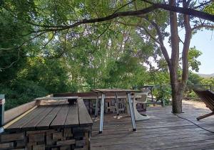 Napahong forest camp外面的花园