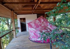 Napahong forest camp外面的花园