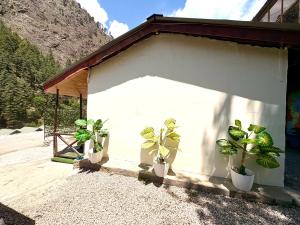 a white garage with potted plants in it at The Dreamcatcher room’s & cafe in Kasol