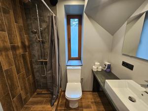 a bathroom with a toilet and a shower and a sink at Brīvdienu māja Sauleskrasti in Mērsrags +34 photos