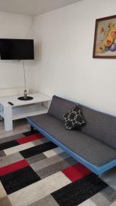 TV a/nebo společenská místnost v ubytování Villa LIKE "garden-grill"